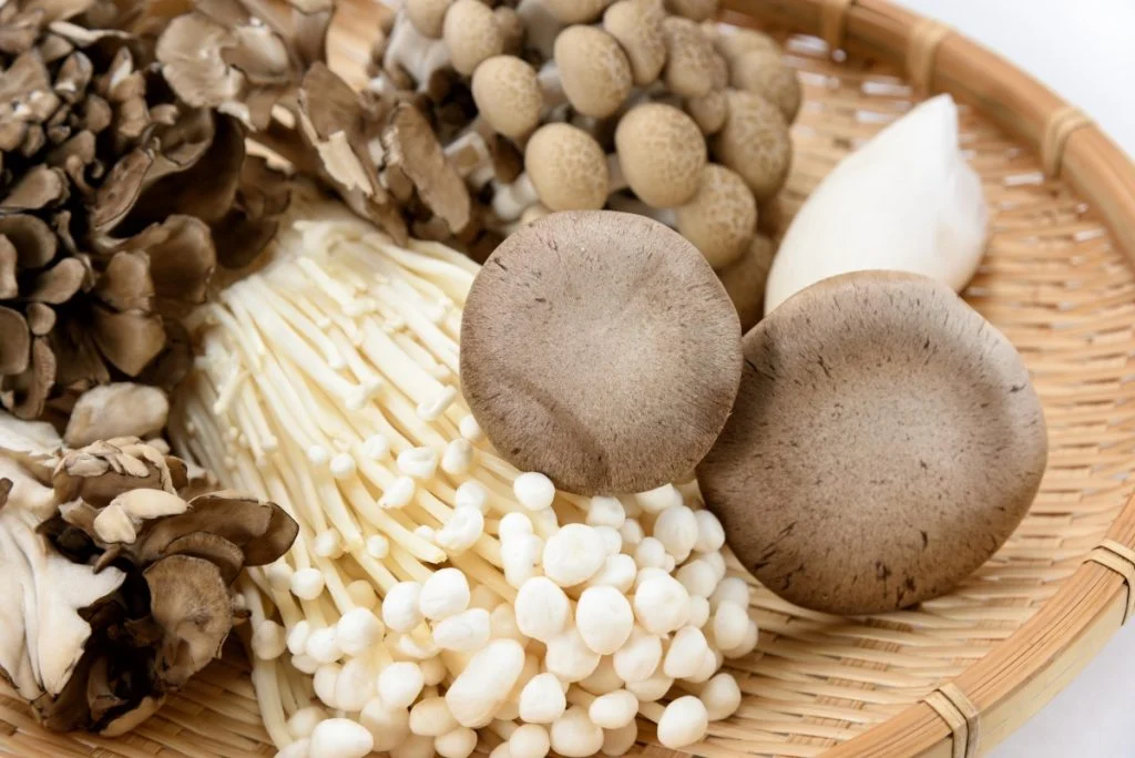 mushroom gummies mushroom gummies